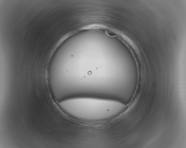 X0000112071329201007220959