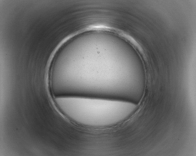 X0000112071331201007220959