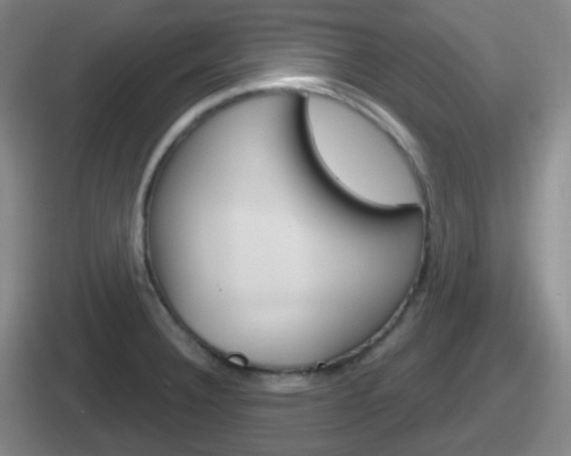 X0000112071332201007220959