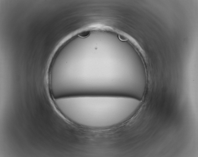 X0000112071335201007220959