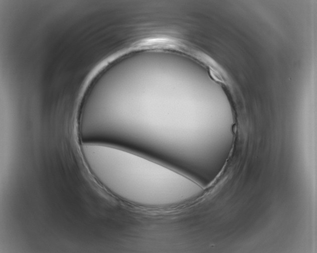 X0000112071336201007220959