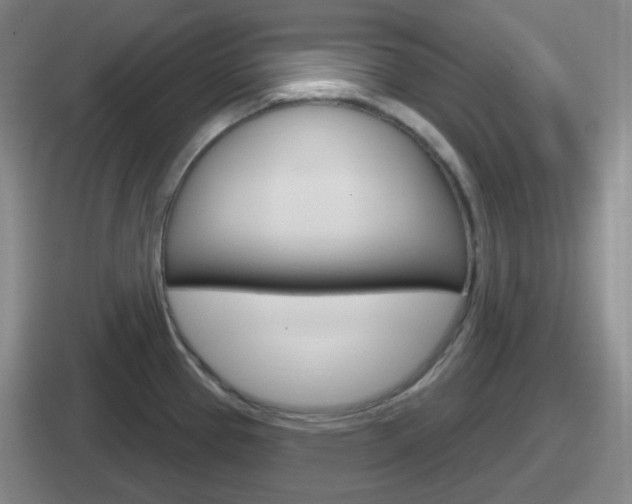 X0000112071337201007220959
