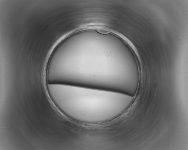 X0000112071341201007220959