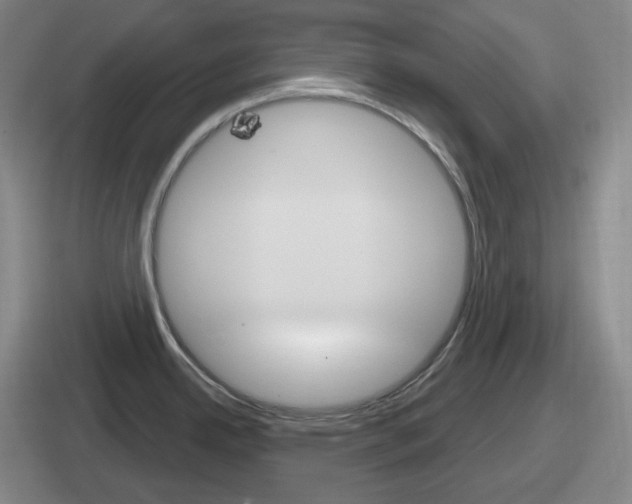 X0000112071342201007220959