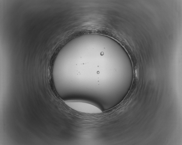 X0000112071347201007220958