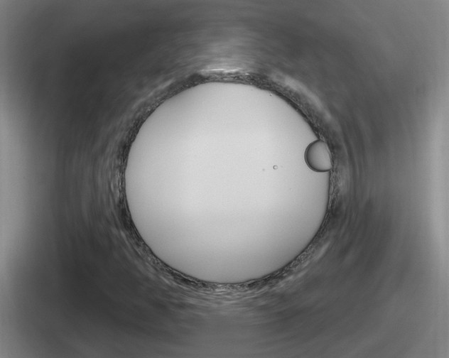X0000112071350201007220958