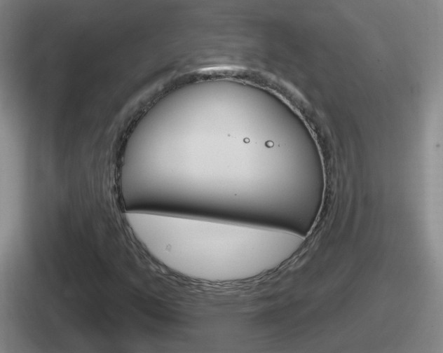 X0000112071351201007220958