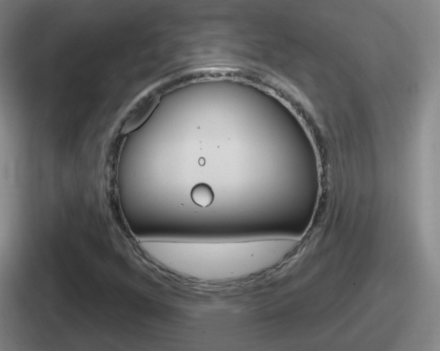 X0000112071352201007220958