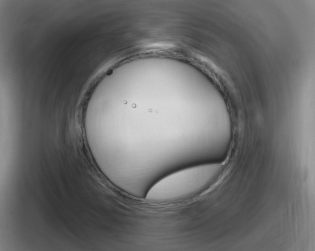X0000112071354201007220958
