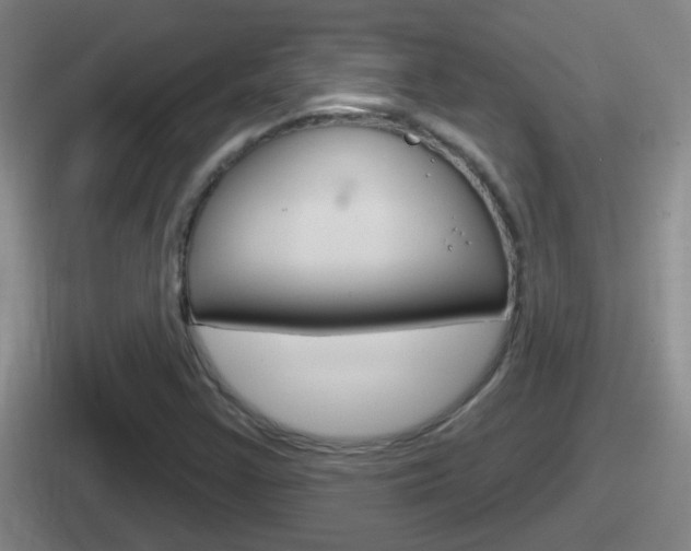 X0000112071355201007220958