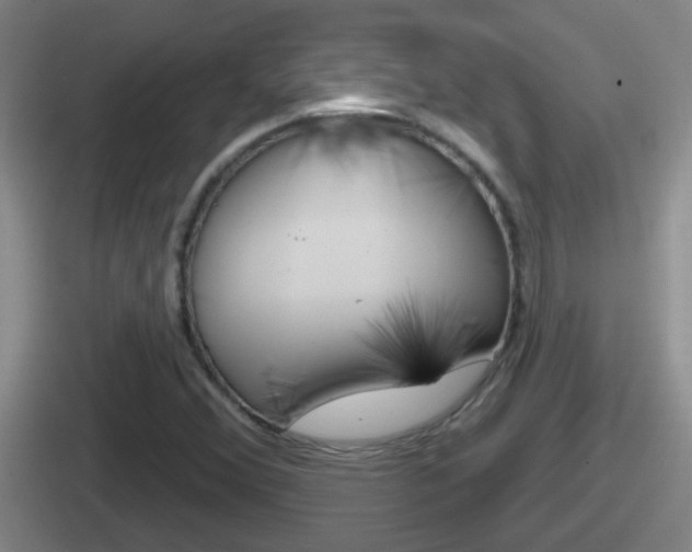 X0000112071356201007220958