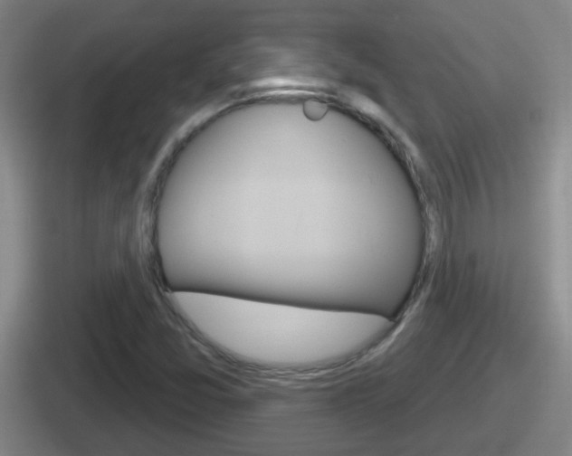 X0000112071357201007220958