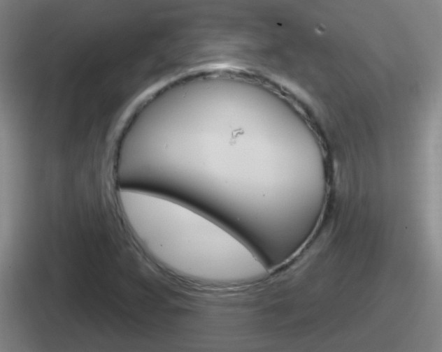 X0000112071359201007220958
