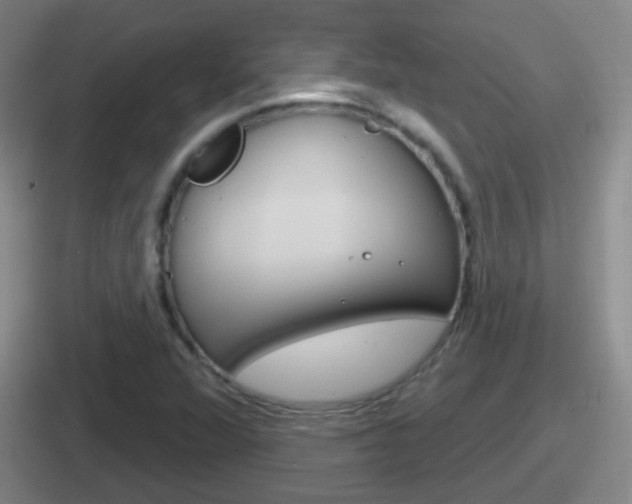 X0000112071360201007220958