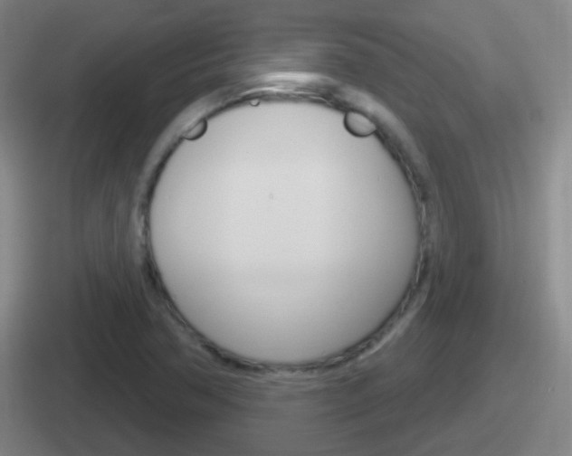 X0000112071362201007220958