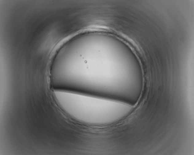 X0000112071363201007220958