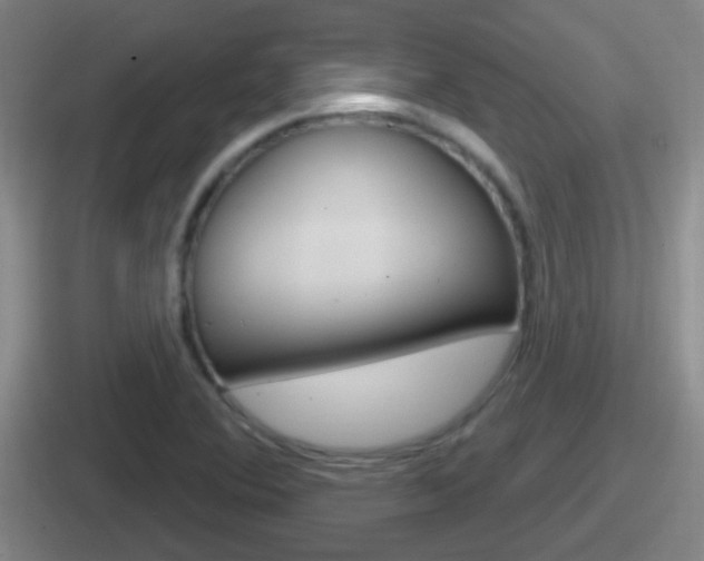 X0000112071364201007220958