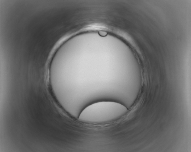 X0000112071366201007220958