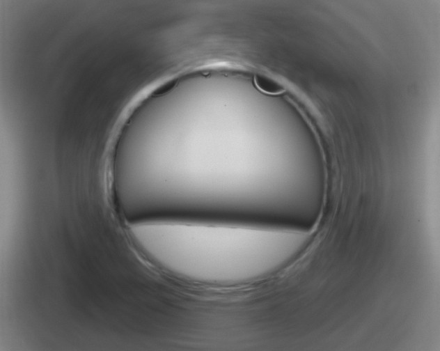 X0000112071367201007220958
