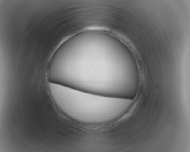 X0000112071369201007220958