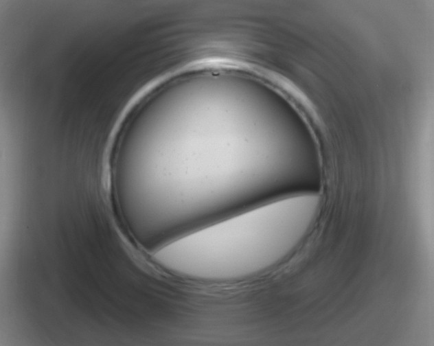 X0000112071372201007220958