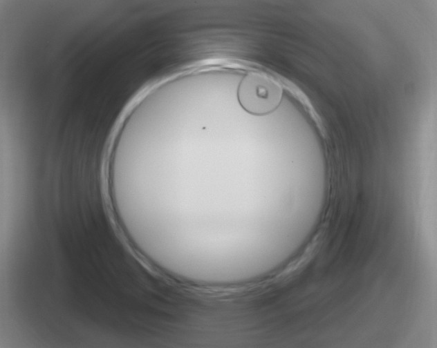 X0000112071373201007220958