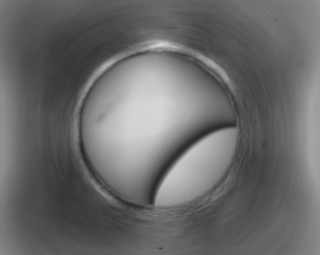X0000112071375201007220958