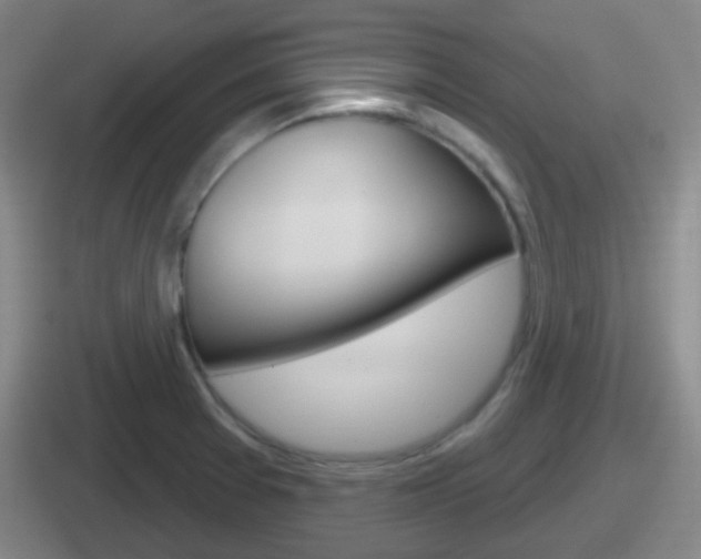 X0000112071377201007220958