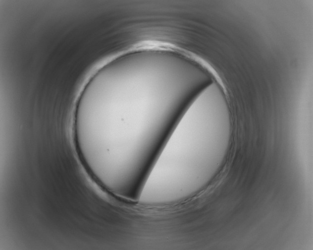 X0000112071379201007220958
