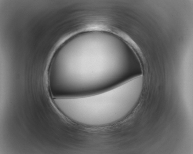 X0000112071380201007220958
