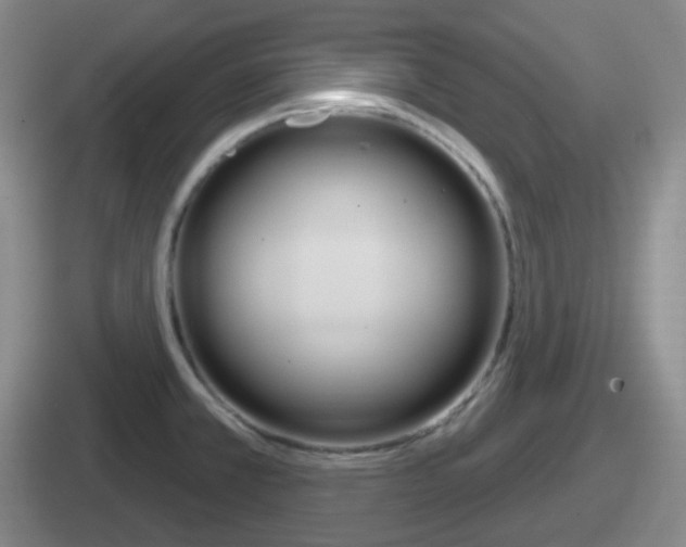 X0000112071381201007220958