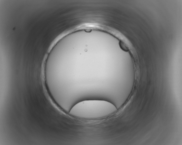 X0000112071382201007220958
