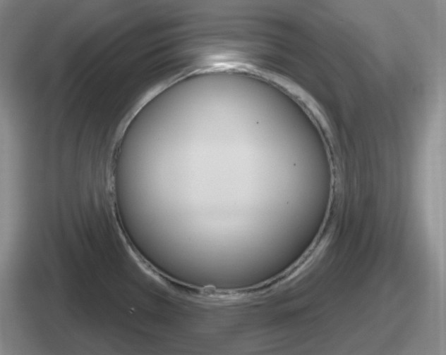 X0000112071385201007220958