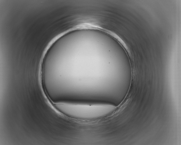 X0000112071387201007220958