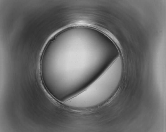 X0000112071388201007220958
