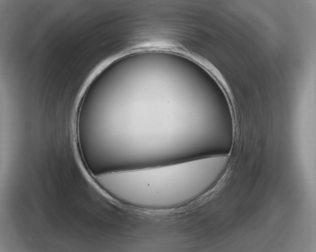 X0000112071389201007220958