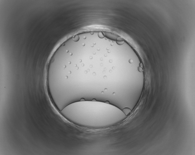 X0000112071390201007220958