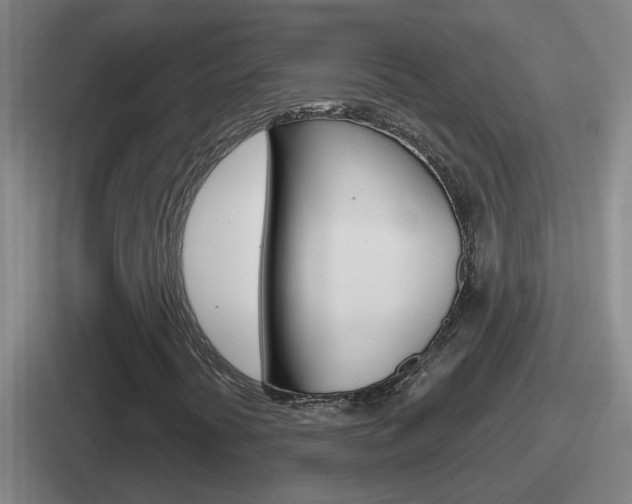 X0000112071394201007220957