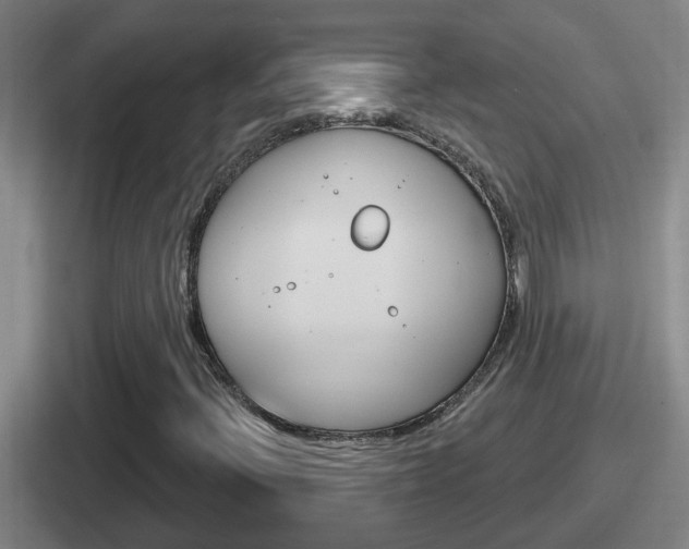 X0000112071396201007220957