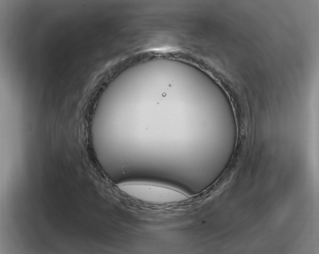X0000112071398201007220957