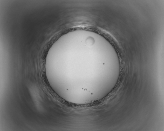 X0000112071399201007220957