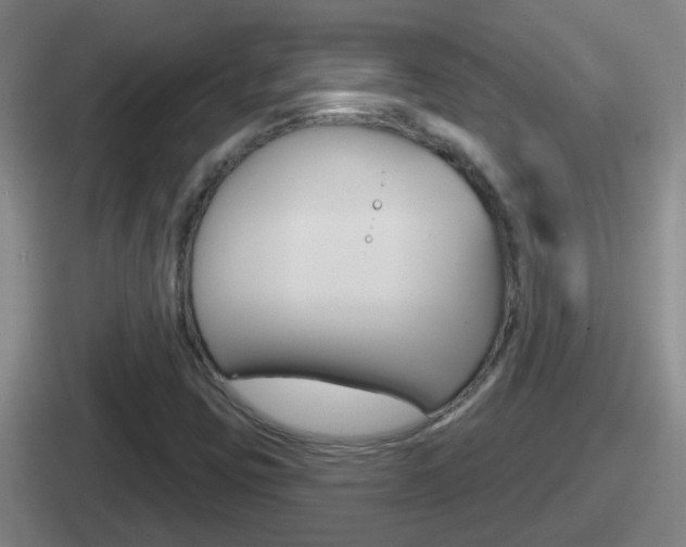 X0000112071403201007220957