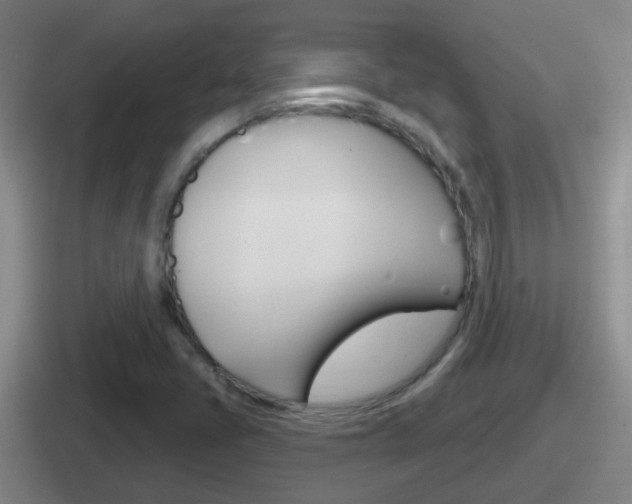 X0000112071405201007220957