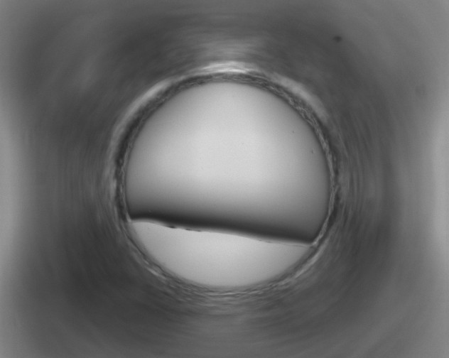 X0000112071406201007220957
