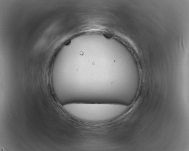 X0000112071407201007220957