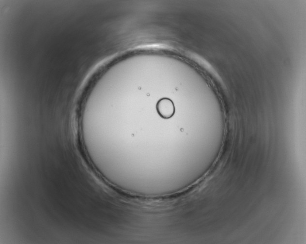 X0000112071408201007220957