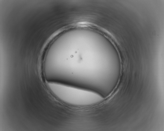 X0000112071410201007220958