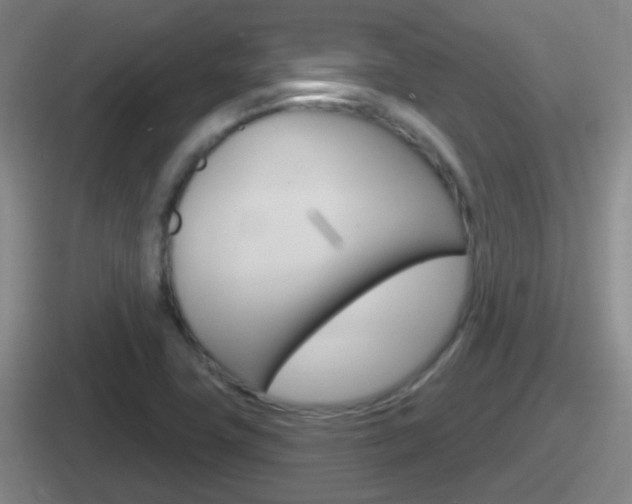 X0000112071411201007220958