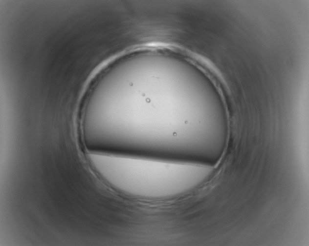 X0000112071412201007220958