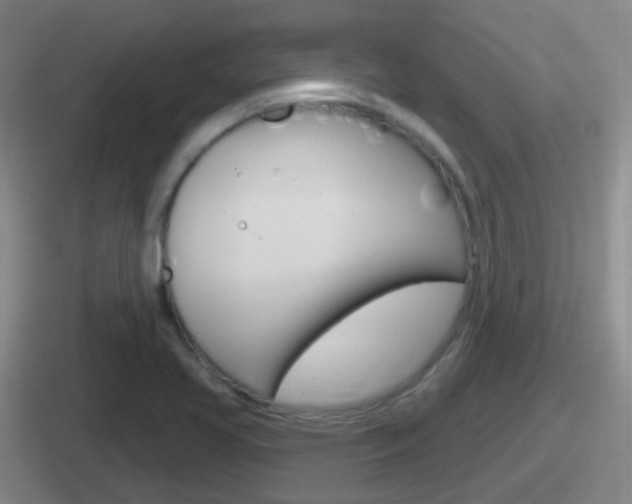 X0000112071413201007220958
